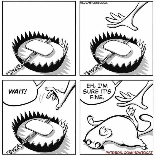 CatBearTrap.jpg.106aad5cd9712e1f53833ecebce103ea.jpg