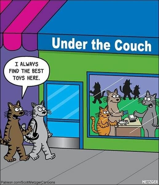 CatBestToyStore.jpg.448d83d206f19e73c9adef44dff690ee.jpg