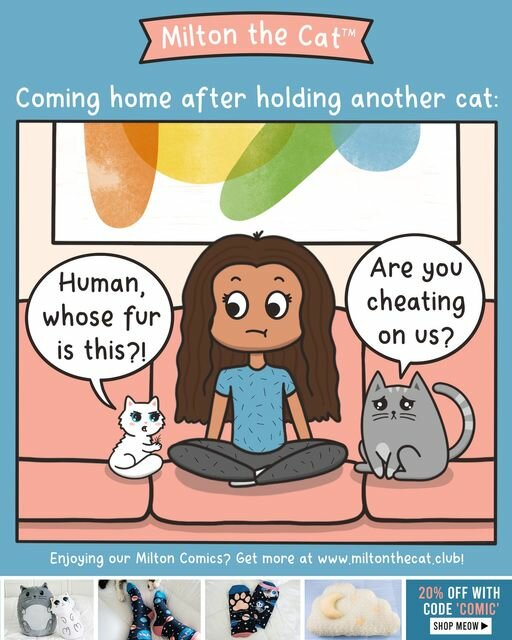 CatCheating.jpg.00f0b5bd89ec2770891c889719ec03d3.jpg
