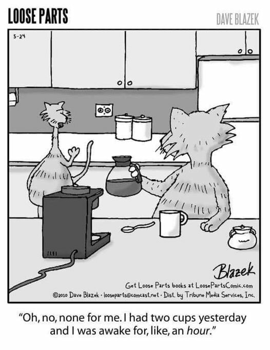 CatCoffee.jpg.08b4aba61409b262c82c86fbc3e3a2ef.jpg
