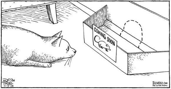 CatComingSoon.jpg.5d04b61e23dceb2fdabaf4f994774a34.jpg