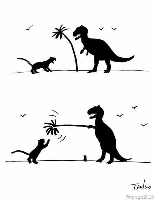 CatDinosaurKitty.jpg.3f57432c211f4b494df2ebccbf28a639.jpg