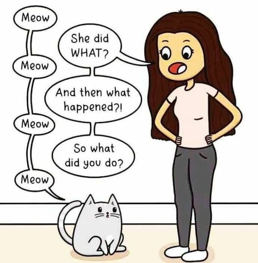 CatDoWhatMeow.jpg.b1258f2e2a939557818848c75b881fcf.jpg