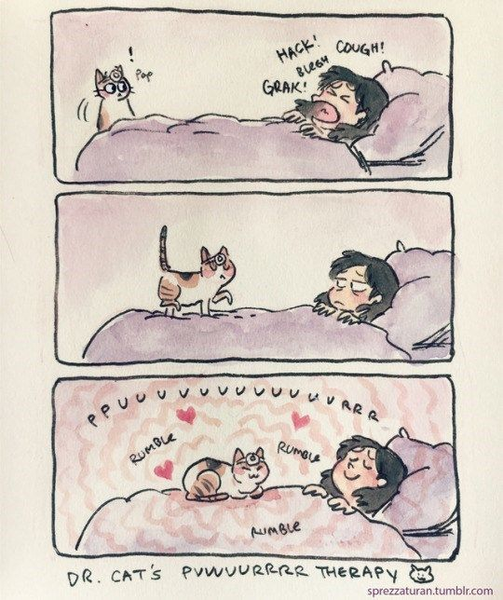 CatDr.png.53b6eae45d80082df46030fa4fdbe836.png