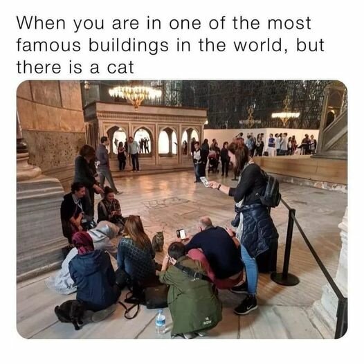 CatFamousBuilding.jpg.f1f9a57064159734052236cbde2b36fa.jpg