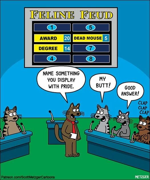 CatFelineFeud.jpg.2373bf31bfa366aad4aed16ad00eeb94.jpg