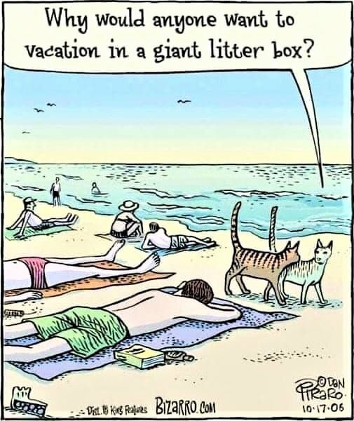 CatGiantLitterBox.jpg.0bc74ec3311910663abfe41746b1c38b.jpg