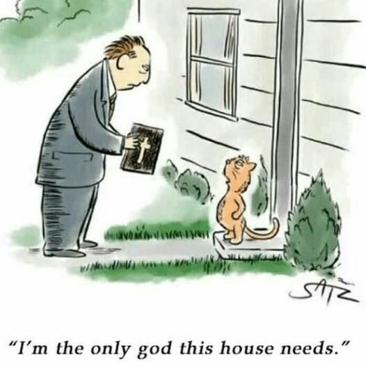 CatGod.jpg.7f48fc1353575e8d6e2fe77a5e4d22da.jpg