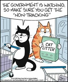 CatGovernment.jpg.1f0180f3c01399eb5f7f2ca0047d54e9.jpg