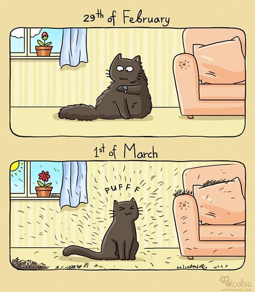 CatHairAllAtOnce.png.8973e3e79927fb685dd9b5861e4a4e1e.png
