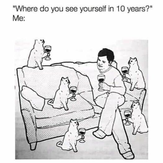 CatInTenYears.jpg.e4abc13481b087b7ac60d2d8d08c5d46.jpg