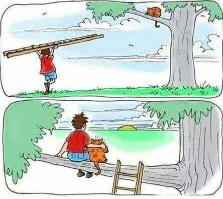 CatLadder.jpg.cc23a30d351c0cb2a9f3911a5f50d807.jpg