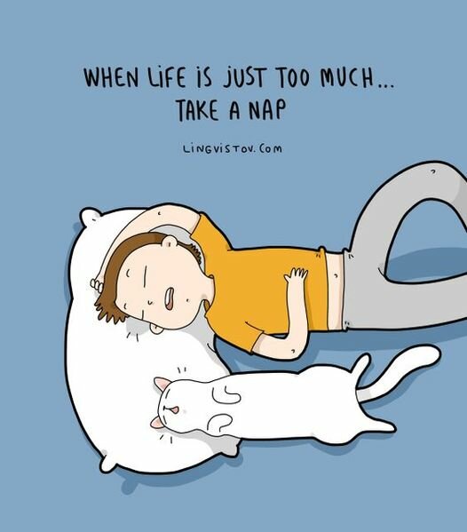 CatLifeTooMuchNap.jpg.0d6ebcef4056aae3b192aecbb1c8556e.jpg
