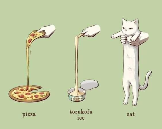 CatLong.jpg.ceb0b90fad5ccb749ab7a14bb4a86174.jpg