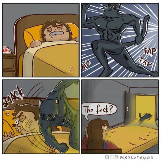 CatOnAMission.jpg.a7b5c19129d3467569ef66b965d4e9b9.jpg