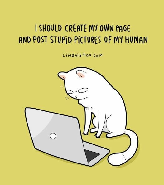 CatPageStupidHoominPictures.jpg.9780ae7344511e9e7a76407288da7c8e.jpg