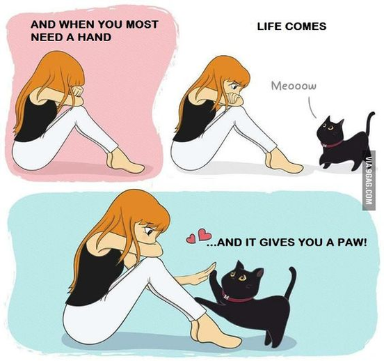 CatPaw.png.dba60adc8d14489635d582ebc04e3e69.png