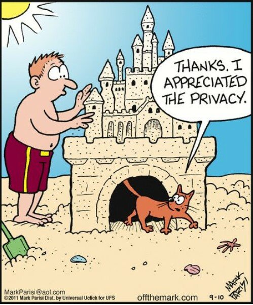 CatPrivacy.jpg.4676be9faa7ebadb7785994b6972170b.jpg