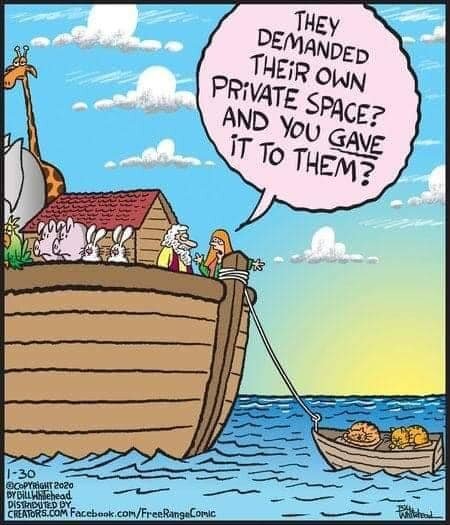 CatPrivateSpace.jpg.4e77e84c3beed868a7d1bbf734474d15.jpg