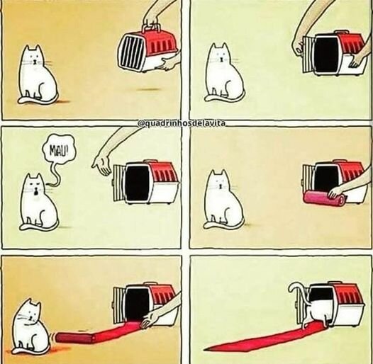 CatRedCarpet.jpg.86dc72e95cfd5c9910ba3bc9119997ba.jpg