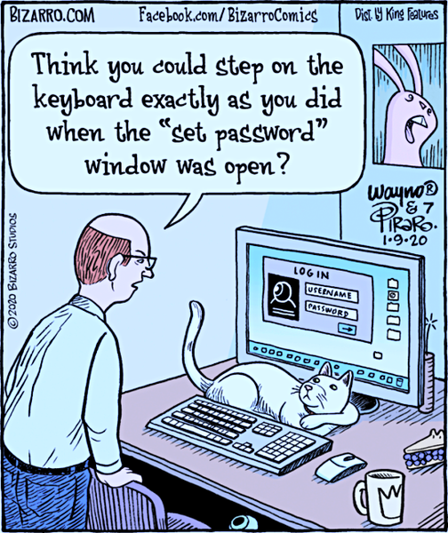 CatSetPassword.png.f729e2b62b1a995178356062f12165e9.png