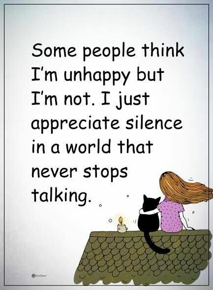 CatSilence.jpg.fcda057f93059a44d09806ab4bbdd119.jpg