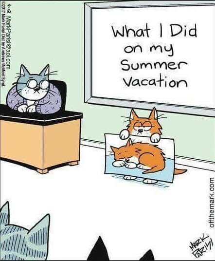 CatSummerVacation.jpg.6de2beccd05e8ac0b7c891d8c145b7d3.jpg