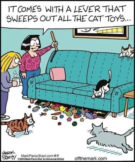 CatToyCouch.jpg.6d4e2d29b7ed190025beba5668f356dc.jpg