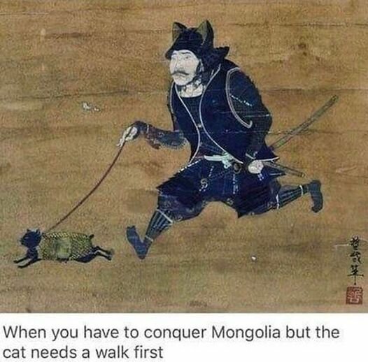 CatWalkMongolia.jpg.6258c16239699982f9f321e0ee2e9e66.jpg