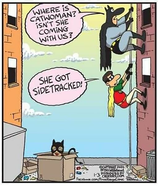 CatWoman.jpg.9183c81e6ff4929b44a4889fba403f49.jpg