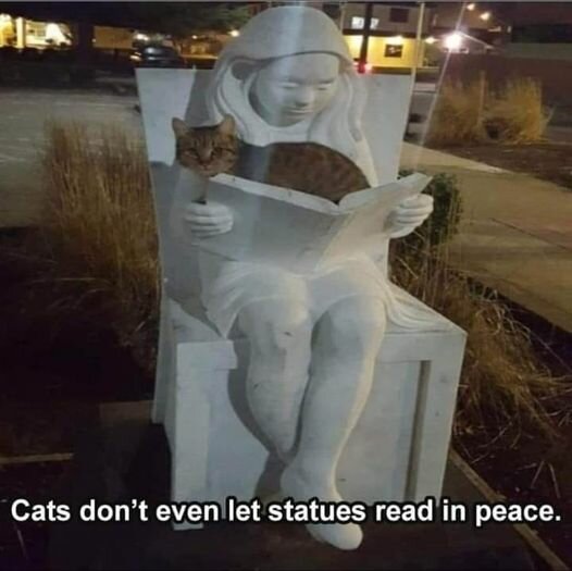 CatsAndStatues.jpg.b7b328fb6ea696e04eddb2dc0765f7fa.jpg