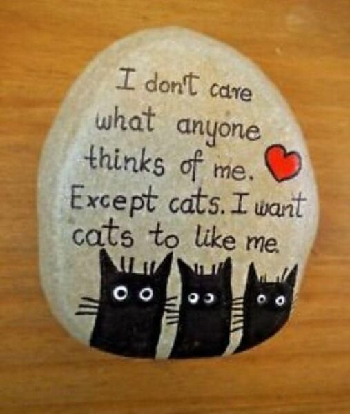 CatsThinkOfMe.jpg.096c7f90bcb8b780c5df0cc52f055224.jpg