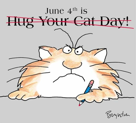 HugYourCatSandraBoynton.jpg.336e979d44dd76007cbe6f5c5ff856d9.jpg