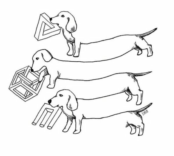 ImpossibleDogisImpossible.jpg.ccfa44246ebcd73a650dc7e06b503eb6.jpg