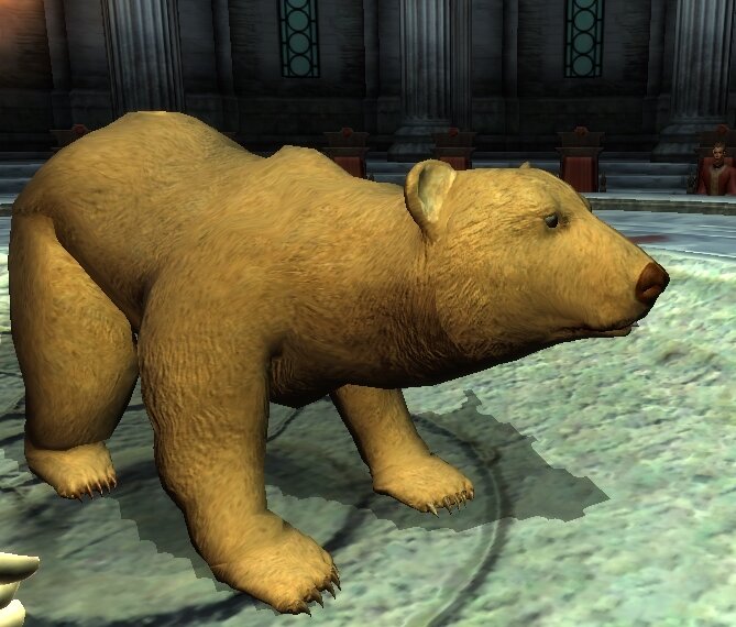b2.jpg