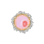 dah_fx_ovule1.png