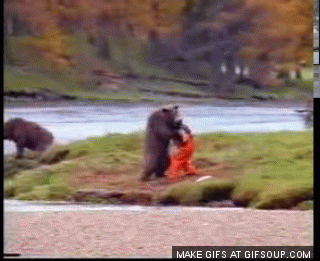 image.gif