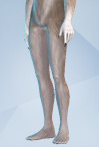 image.png.0559c86ec03cb1875c30f2d7ce27144a.png