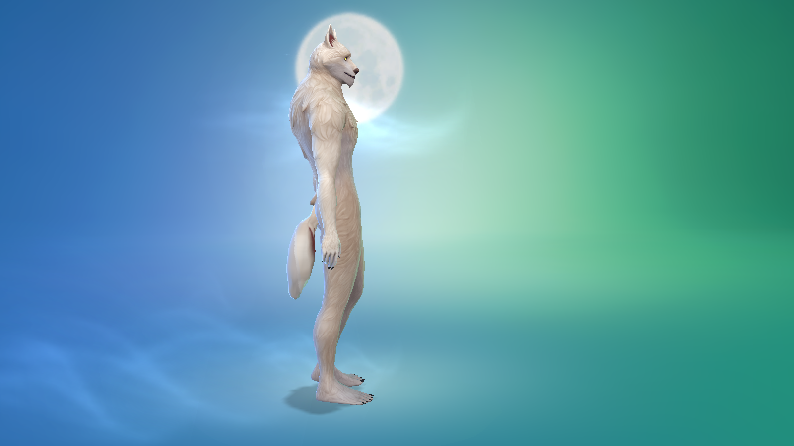 image.png.133dc7c80c6258dce37d4564babd7aba.png