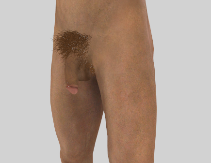 image.png.447243e7d9b0c4deb01f5a73ed9948ac.png