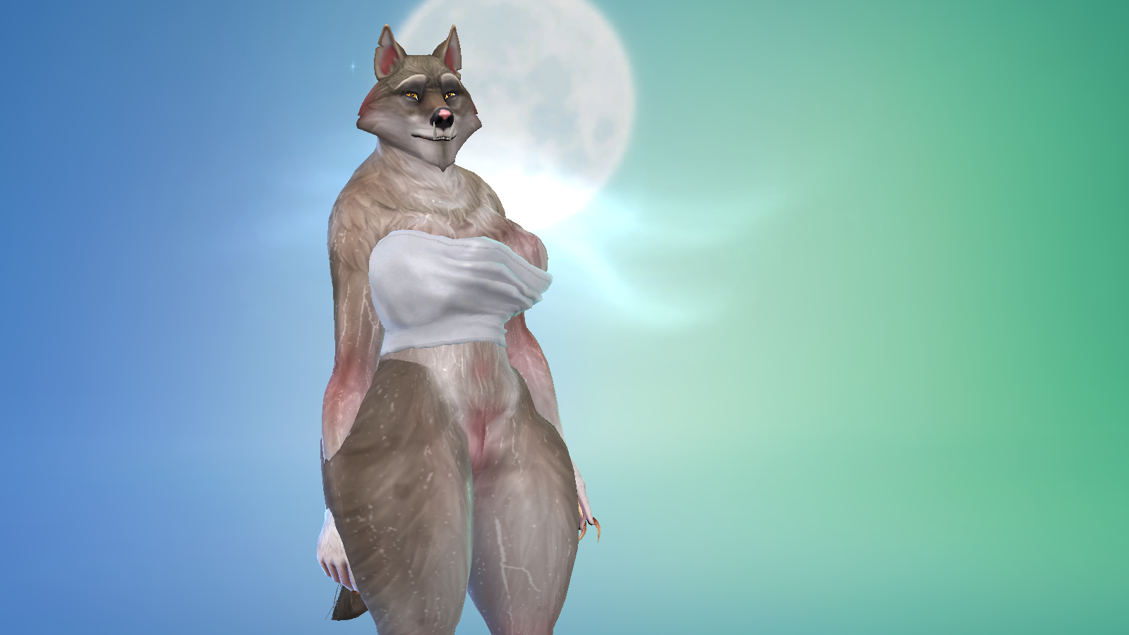 image.png.5df025f84ce3f9736aa8f0fd2ac5fbca.png