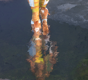 image.png.bb05a2ac05278a5ef0539ba44bb4f2dc.png