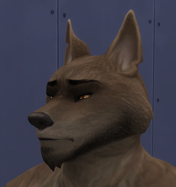 image.png.bbd29ee758235164096680e9c4342449.png