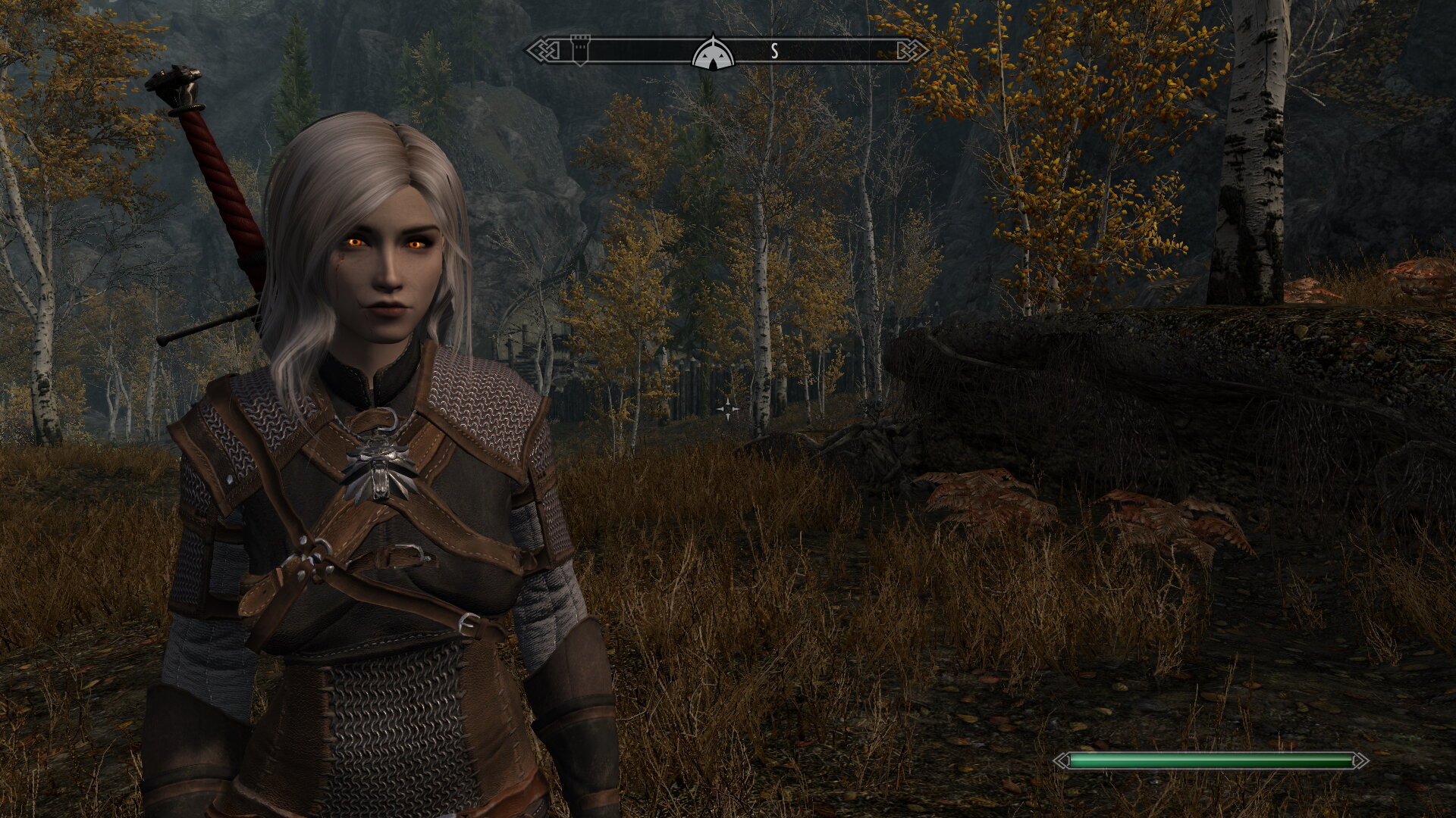 witcher.jpg.9a76a329c3f1e96380a65c47b9bbbe45.jpg