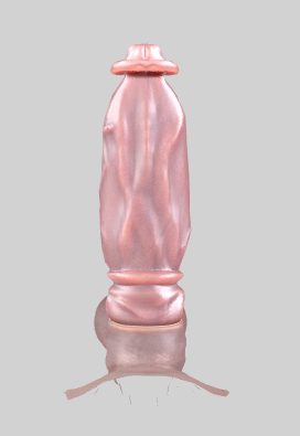 1817790638_2FL9)5F21YWDXEN3N8A.png.c515e8b7bf214feb7fb73f882277a865.png