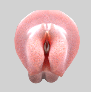 556124588_)48CIXEC89QJ6(KTIUI0OE.png.ae24e1d34df6ae341e890867598dd518.png