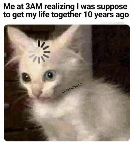 Cat3AMRevelation.jpg.21dd569119e1e83db509140ec14e71ac.jpg