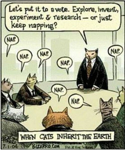 CatInheritEarth.jpg.146a3451ed78e01103697afbbb80453a.jpg