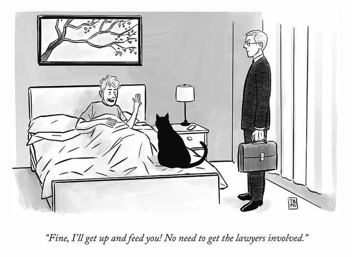 CatLawyers.jpg.b9df0cbd978ee8388fc692a0c842d165.jpg