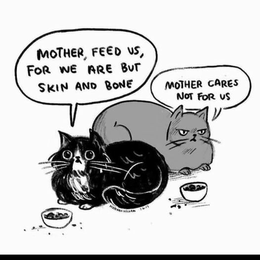 CatMotherFeedUs.jpg.9627cda20665b4cf4bcd5d931130d168.jpg